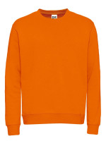 Oranje (PMS 1585C)
