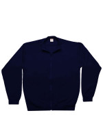 Navy (PMS 5395C)